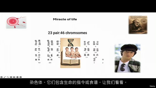 CRISPR 基础实践教程 —— 手把手教你基因编辑操作(中
