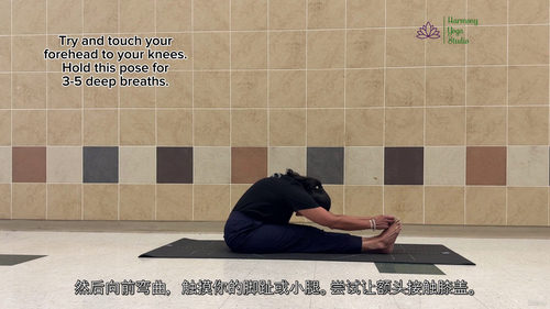 和谐瑜伽馆:焕活身心平衡瑜伽课程