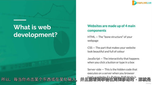 终极 2025 全栈 Web 开发训练营 (中文字幕英文视频