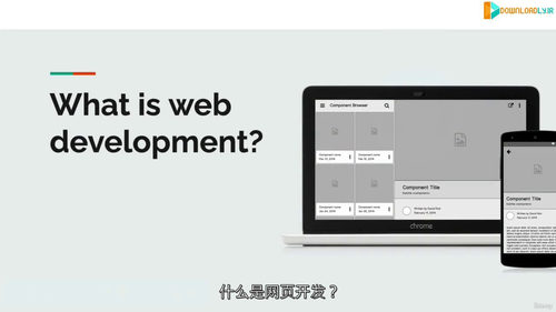终极 2025 全栈 Web 开发训练营 (中文字幕英文视频