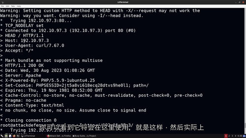 网络应用安全测试教程