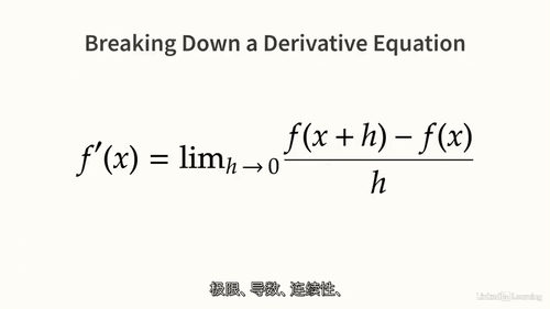 数据科学微积分基础完全指南（中文字幕英文视频教程）