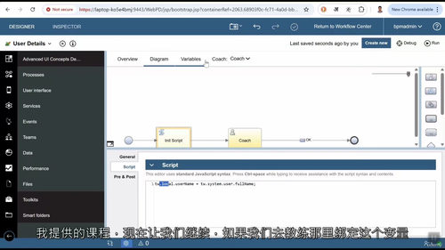 IBM BPM Coach View 深度解析——专业UI构建实战课程