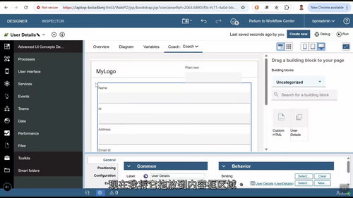 IBM BPM Coach View 深度解析——专业UI构建实战课程