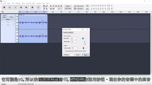 Audacity教程中字幕版