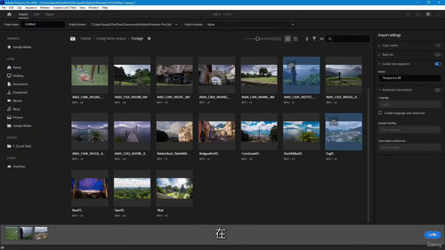 Adobe Premiere实战教程
