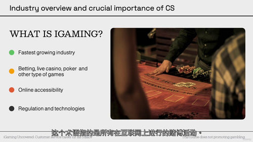 客户服务职业生涯全景指南:从入门到高管