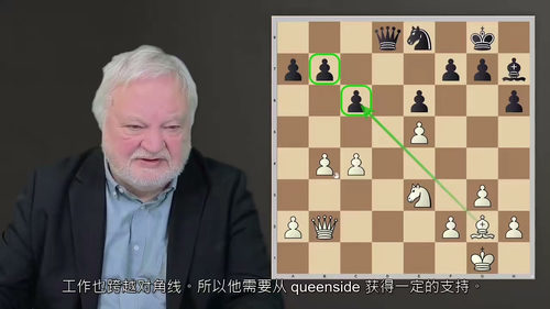国际象棋基础进阶3：棋艺精进教程  (中文字英文视频教程)