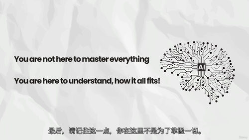 AI 领域全景导航:从数据科学到智能体