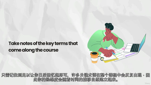 AI 领域全景导航:从数据科学到智能体