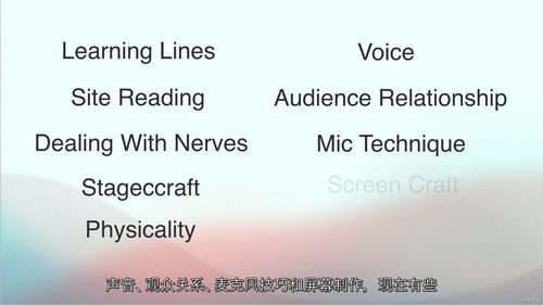 职场表演力：商务场景中的专业表达与影响力提升  (中文字幕英