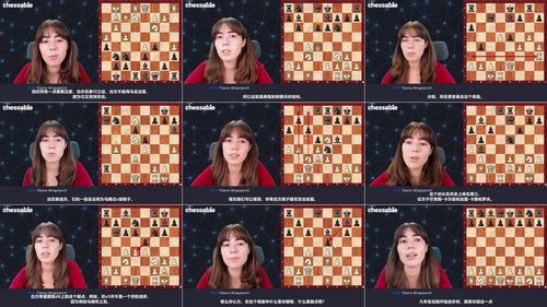 [中文配音]国际象棋策略入门工具箱