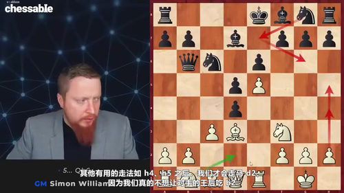[中文配音]特级大师的弃兵秘籍：1.e4开局精解
