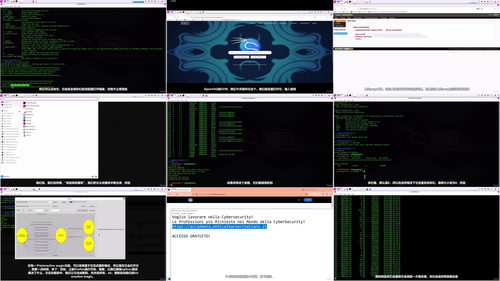 Kali Linux Purple:紫队渗透测试与安全运维实战 (英文课程中文字幕)