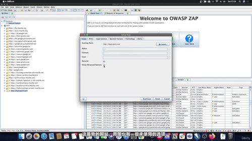 OWASP ZAP渗透测试与漏洞挖掘实战 (英文课程中文字幕)