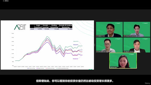 股息股票与REIT被动收入投资 (英文课程中文字幕)