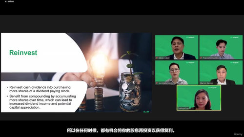 股息股票与REIT被动收入投资 (英文课程中文字幕)