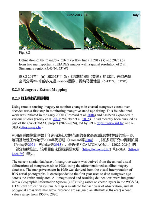 亚马逊红树林蓝碳动态 马库斯·伊曼纽尔·巴罗纳斯·费尔南德斯 佩德罗·瓦尔菲尔·马丁斯·e·索萨-菲洛 克里斯托夫·普罗伊西 (中英对照电子书)