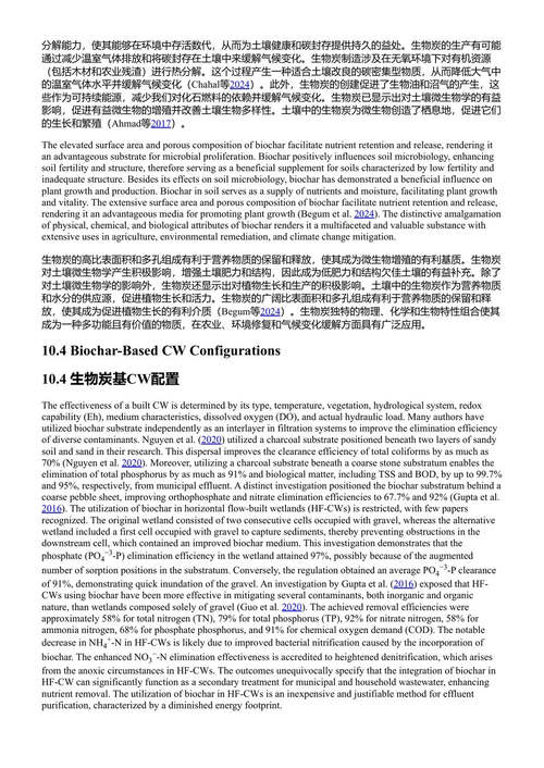 人工湿地：可持续污水处理与生物循环经济 曼努吉·库马尔等主编 (中英对照电子书)