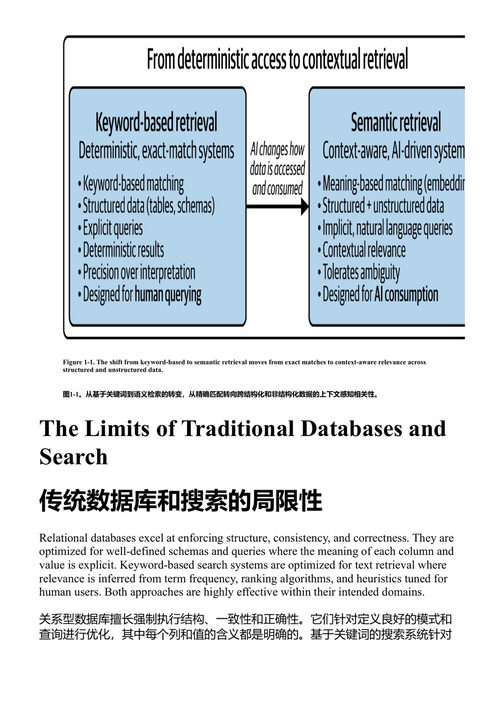 企业AI向量数据库 埃玛·麦格拉滕 (中英对照电子书)