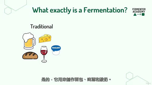 发酵技术从零到精通 - 生物技术核心技能课程(中文字幕英文视