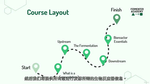 发酵技术从零到精通 - 生物技术核心技能课程(中文字幕英文视