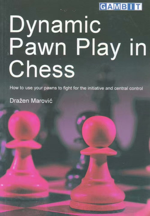 国际象棋动态兵型运用：掌控主动权与中心优势  (英文版电子书