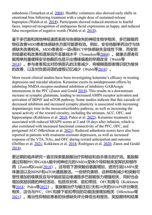 理解抑郁症:当代问题与困境 金容九 (中英对照电子书)