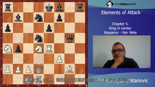 进攻的艺术:与国际大师博罗柳布・兹拉坦诺维奇共探棋道 (中文