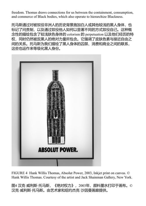 走红：无法控制的黑人表演 加布里埃尔·A·颇普尔斯 (中英对照电子书)