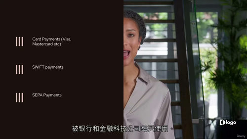 金融科技支付大师课 (中文字幕英文视频教程)