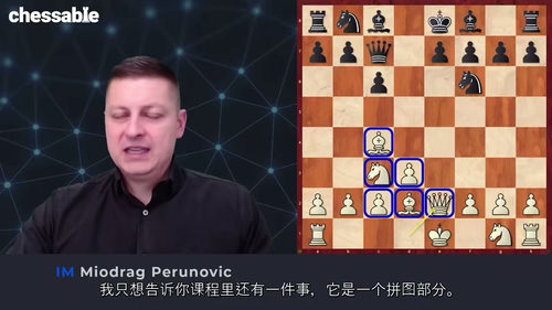 吃透斯堪的纳维亚防御——国际大师Miodrag Peruno