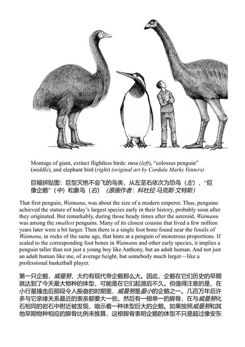 鸟类的故事 史蒂夫·布鲁萨特 (中英对照电子书)