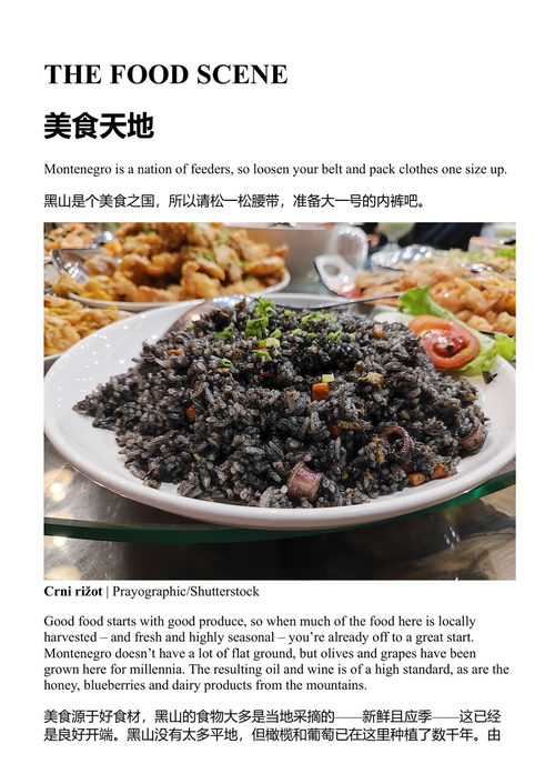 黑山旅行指南 孤独星球 (中英对照电子书)