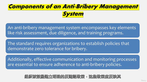 精通ISO 37001——反贿赂管理体系核心实务 (中文字