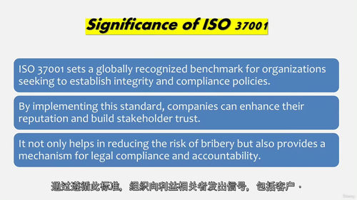 精通ISO 37001——反贿赂管理体系核心实务 (中文字