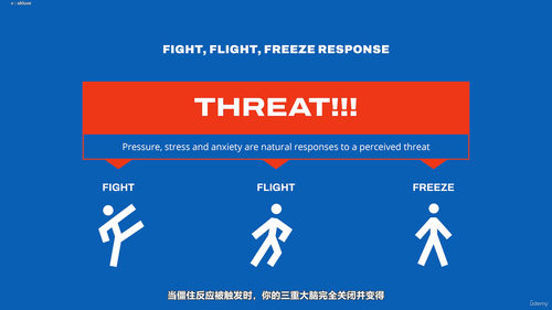 压力下的巅峰表现:运动员心理竞技力训练课程 (英文课程中文字幕)