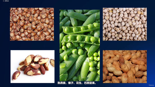 膳食纤维与肠道微生物的神奇作用 (英文课程中文字幕)