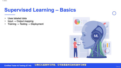 ISTQB人工智能测试工程师认证备考指南 (英文课程中文字幕)