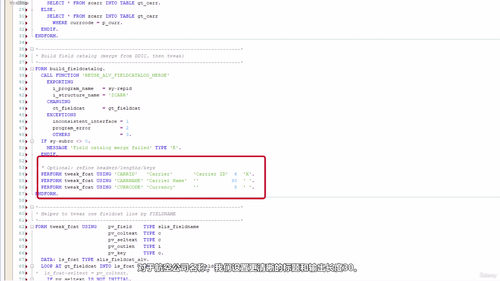 SAP ABAP编程实战:边做边学,构建真实的航班预订系统 (英文课程中文字幕)