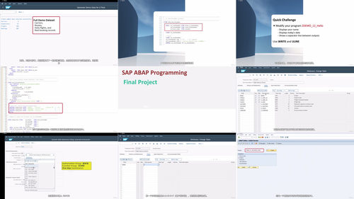 SAP ABAP编程实战:边做边学,构建真实的航班预订系统 (英文课程中文字幕)