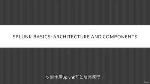 Splunk 核心用户考试基础与概念指南 + 电子书 (中文