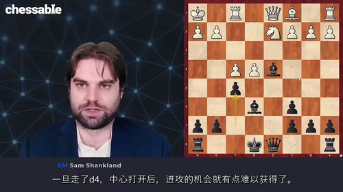 终身棋谱:柏林防御实战体系 (中文字幕英文视频教程)