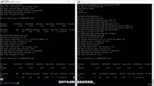 Cisco IOS XR入门 (英文课程中文字幕)