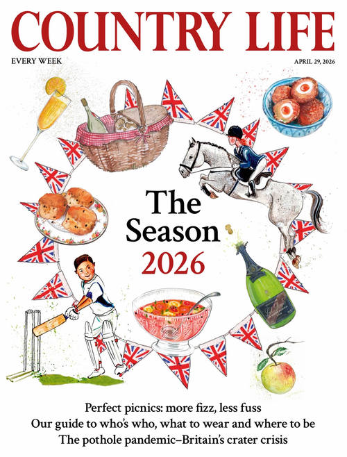 乡村生活 2026年4月29日刊 (英文期刊)