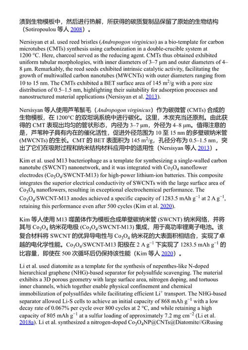 可持续与天然聚合物：清洁能源创新 (中英对照电子书)