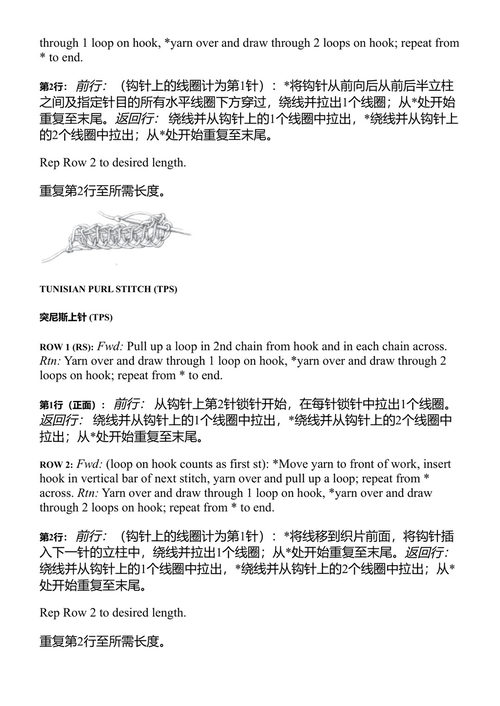 新编突尼斯钩针编织 多拉·奥伦斯坦 (中英对照电子书)