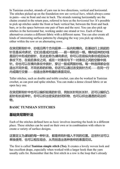 新编突尼斯钩针编织 多拉·奥伦斯坦 (中英对照电子书)