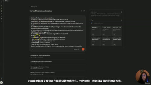 Claude高效提问与工作流实战 (英文课程中文字幕)