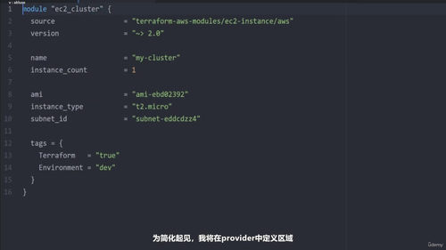 Terraform与AWS云基础设施管理实战 (英文课程中文字幕)